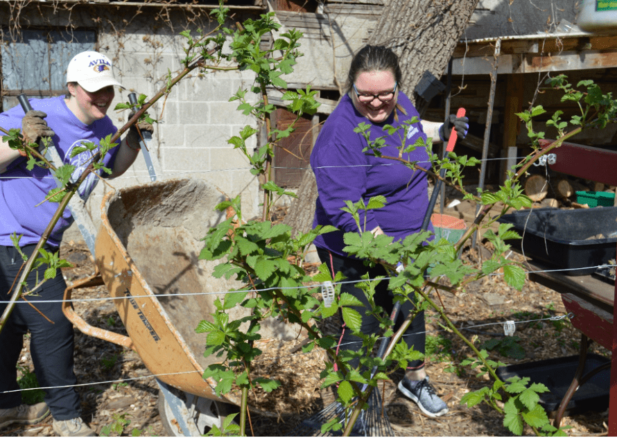 two students Mulching at Jerusalem Farm